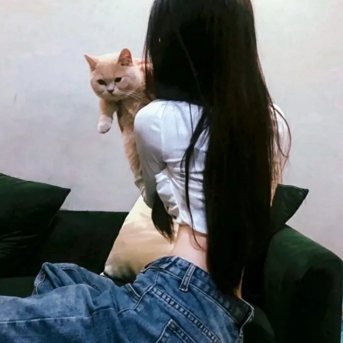茶花村的幸福生活